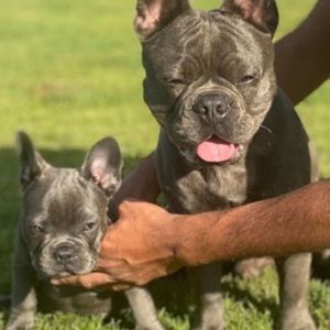 Meet your Posher, Alicia